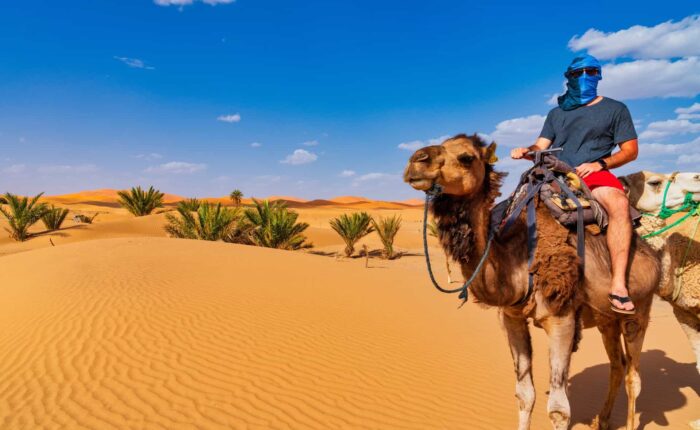 3 Days desert tour From Marrakech to Fes