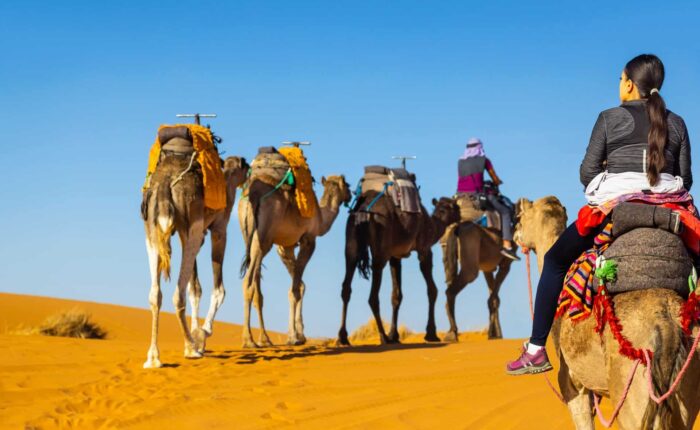 3 Days desert tour From Marrakech to Merzouga