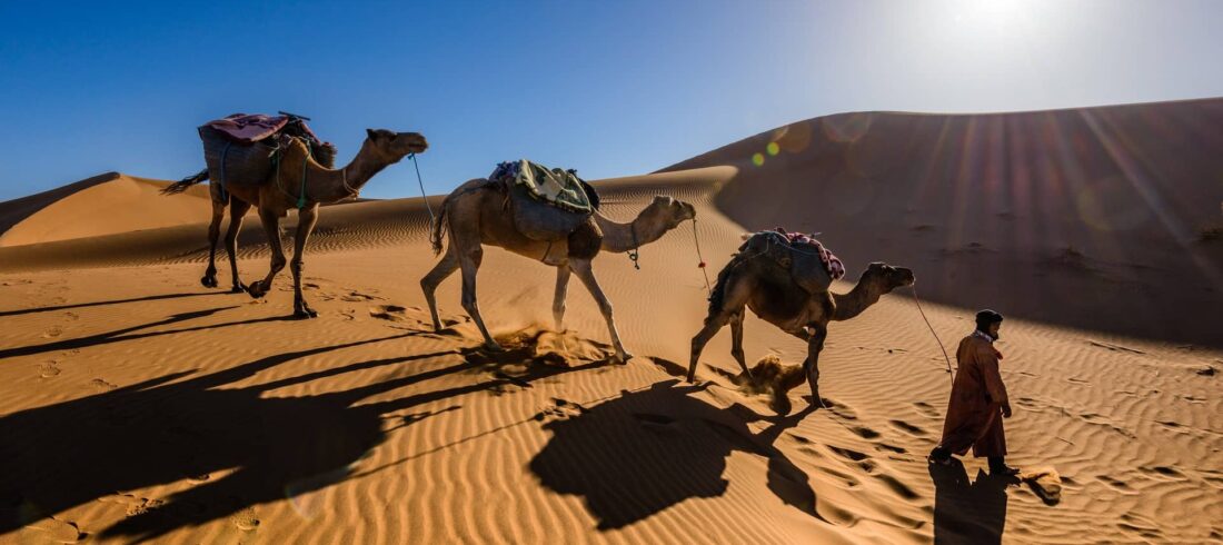 8 días por el desierto de Marrakech