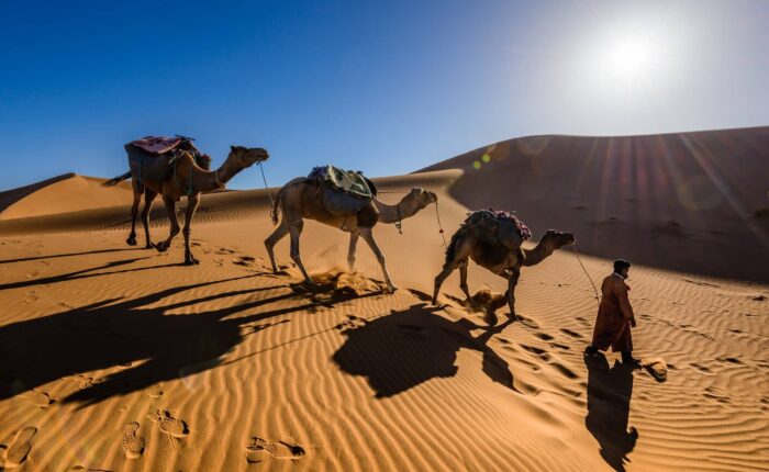 8 Days Desert Tour From Marrakech to Tangier