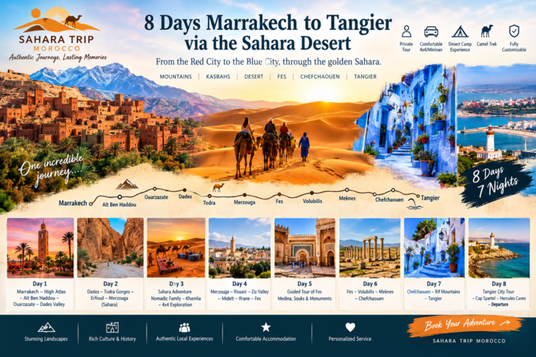 8 Days Marrakech to Tangier Tour
