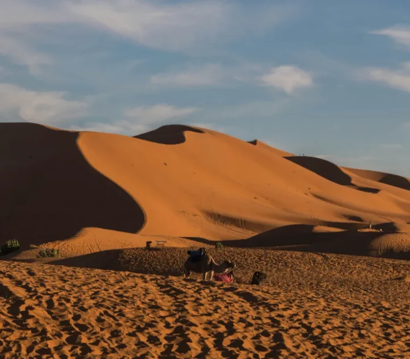 desert-morocco-adventure-S6ZkAErKTXY-unsplash