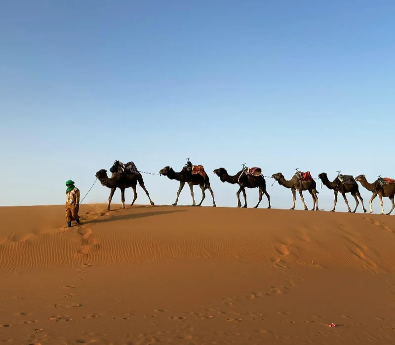 pexels-kristen-haennel-2149718872-30757359