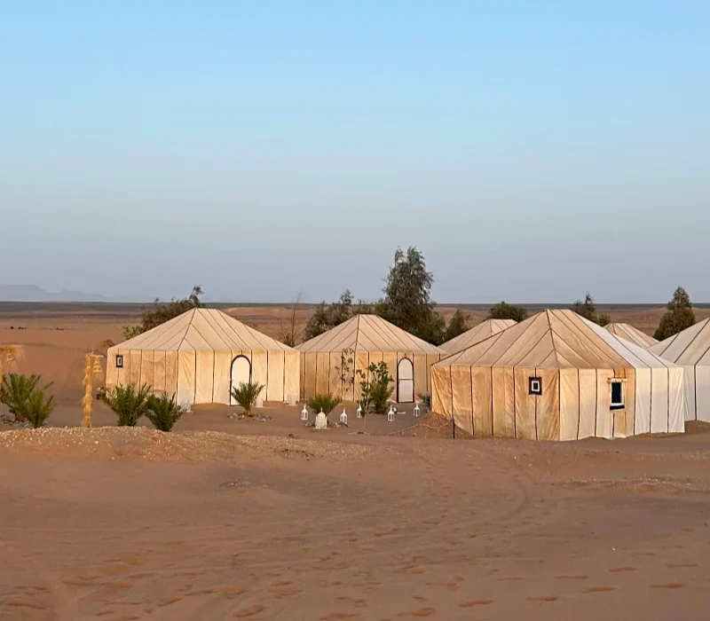 pexels-kristen-haennel-2149718872-30757368