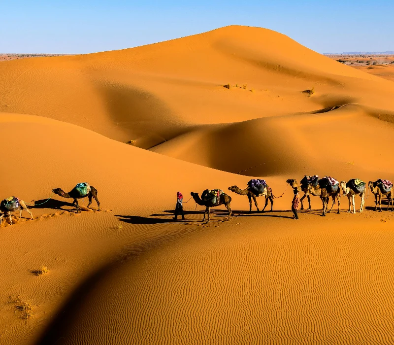 pexels-sergey-pesterev-69811391-8357638