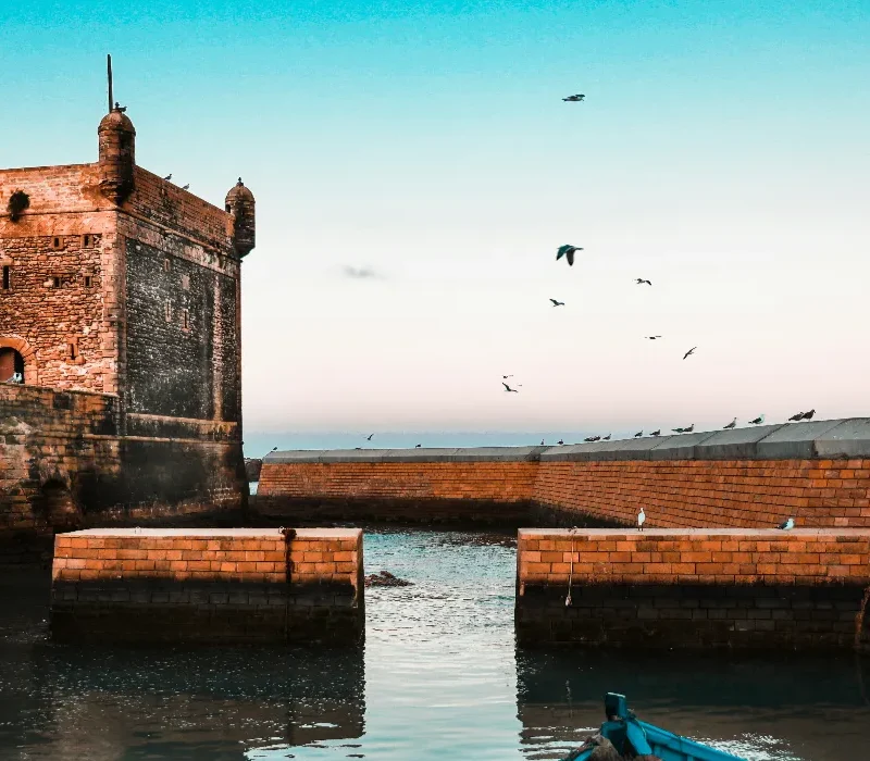 rigel-No_Y3bn4lNQ-unsplash