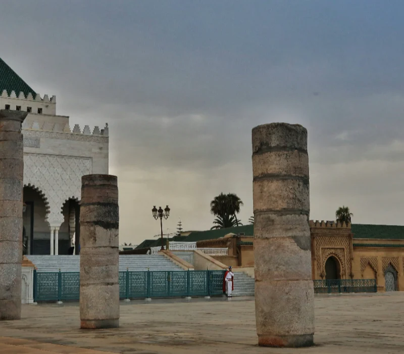 soulaymane-elyoussfi-oDSEPEtrQFo-unsplash (1) (1)