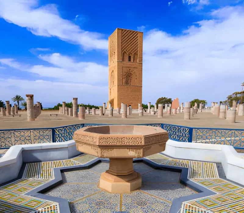 steptodown.com183578