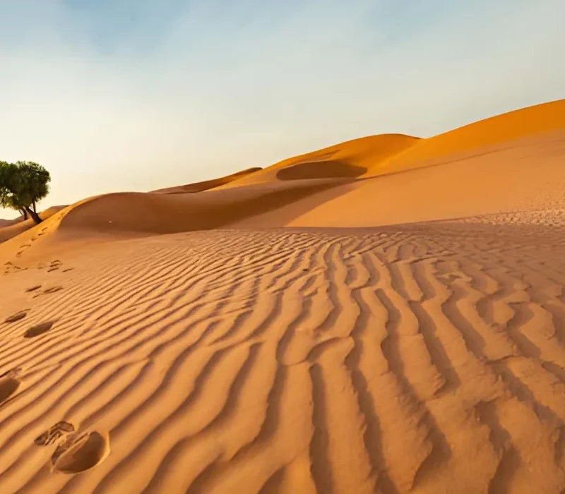 steptodown.com226528