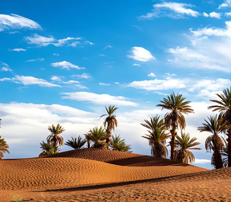 steptodown.com236041