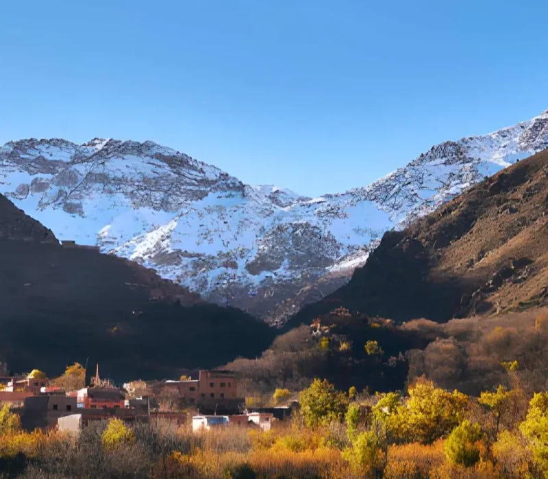 steptodown.com283608