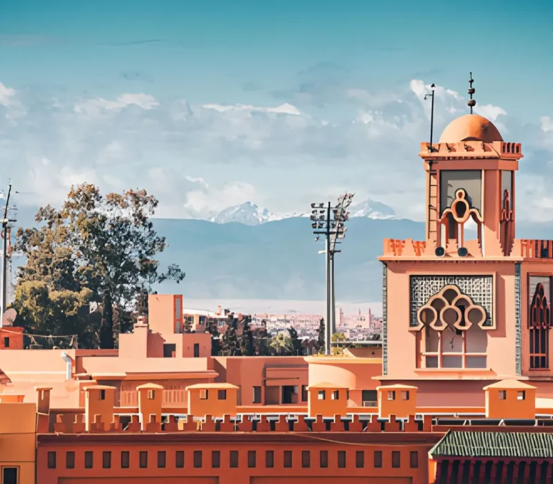 steptodown.com330106