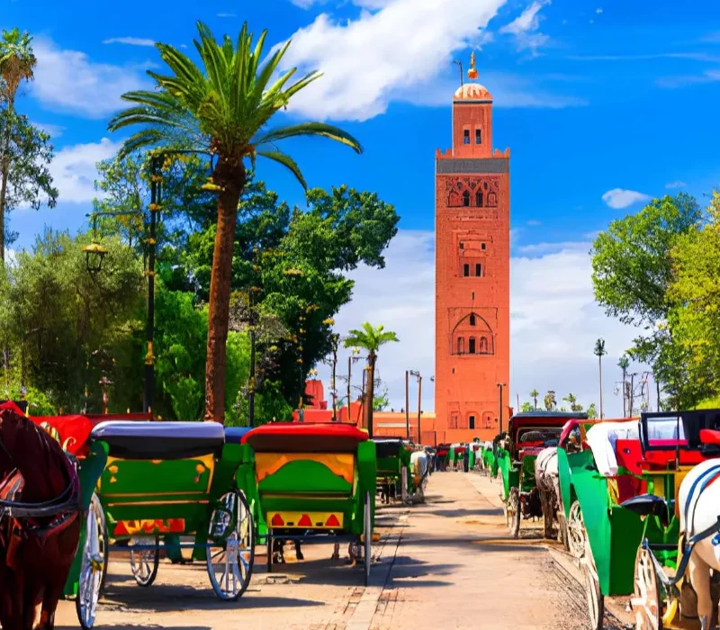 steptodown.com460858