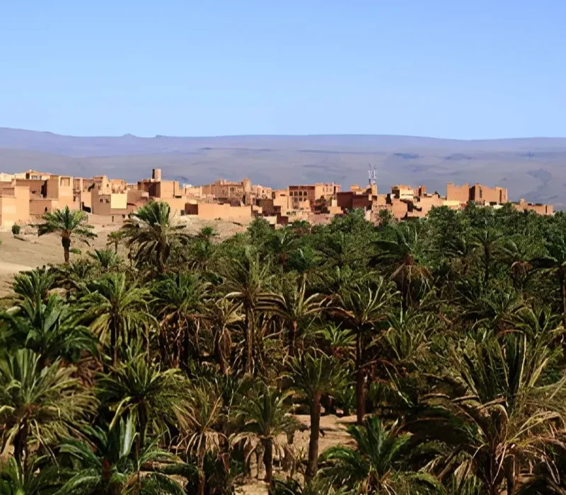 steptodown.com760378