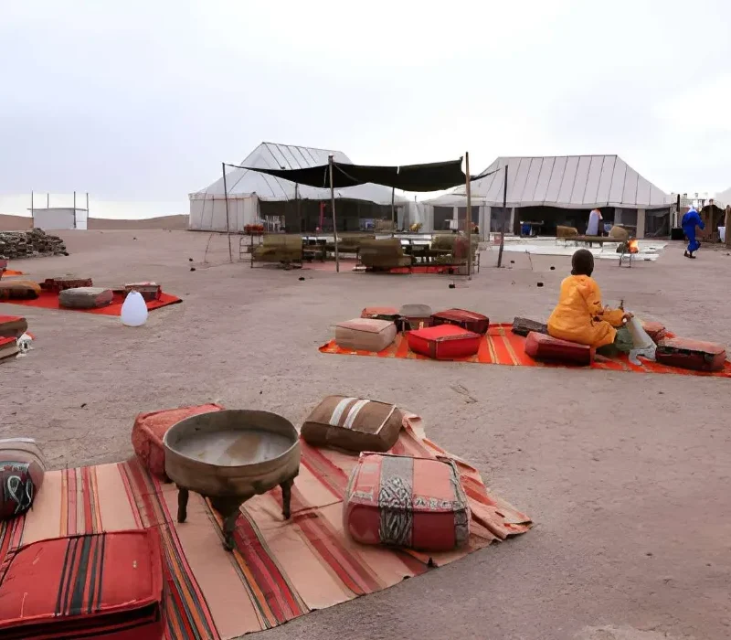 steptodown.com848928