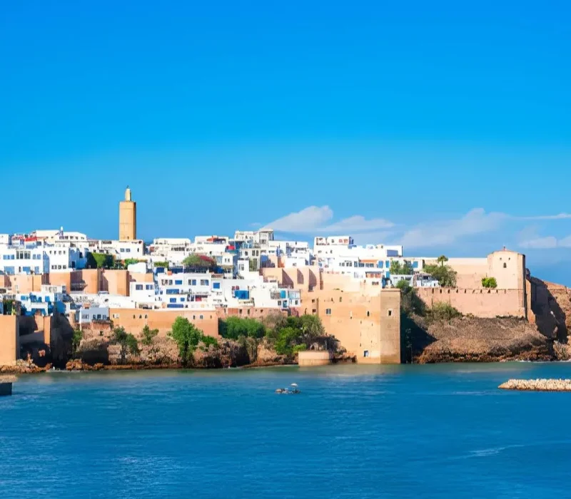 steptodown.com937140