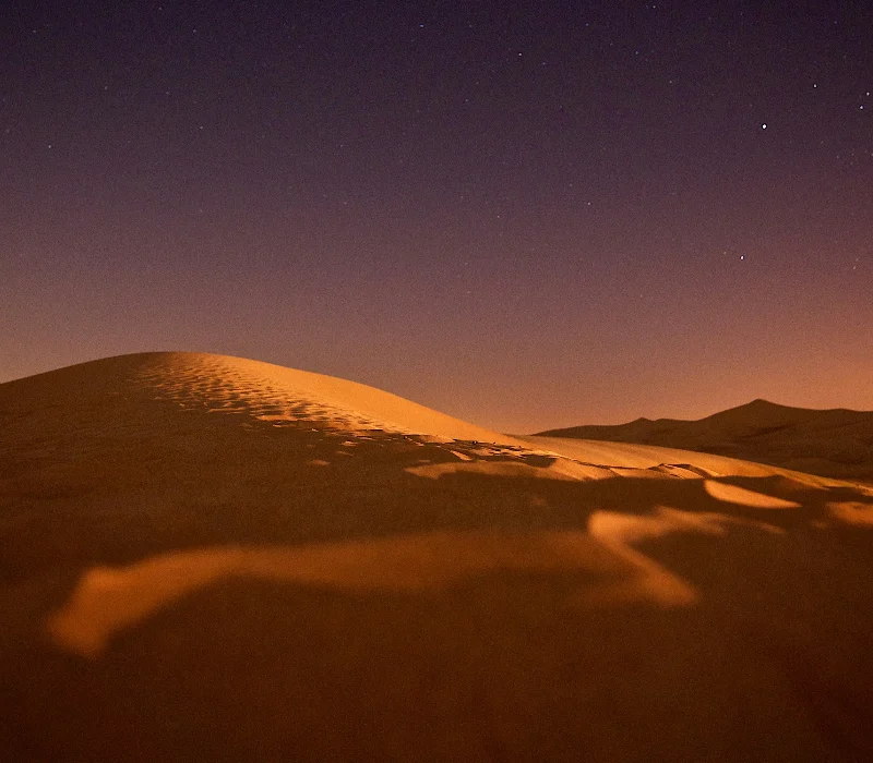 tim-de-groot-yNGQ830uFB4-unsplash