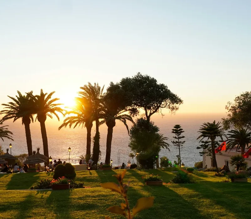 todor-andonov-8kZ3NOlkVe8-unsplash