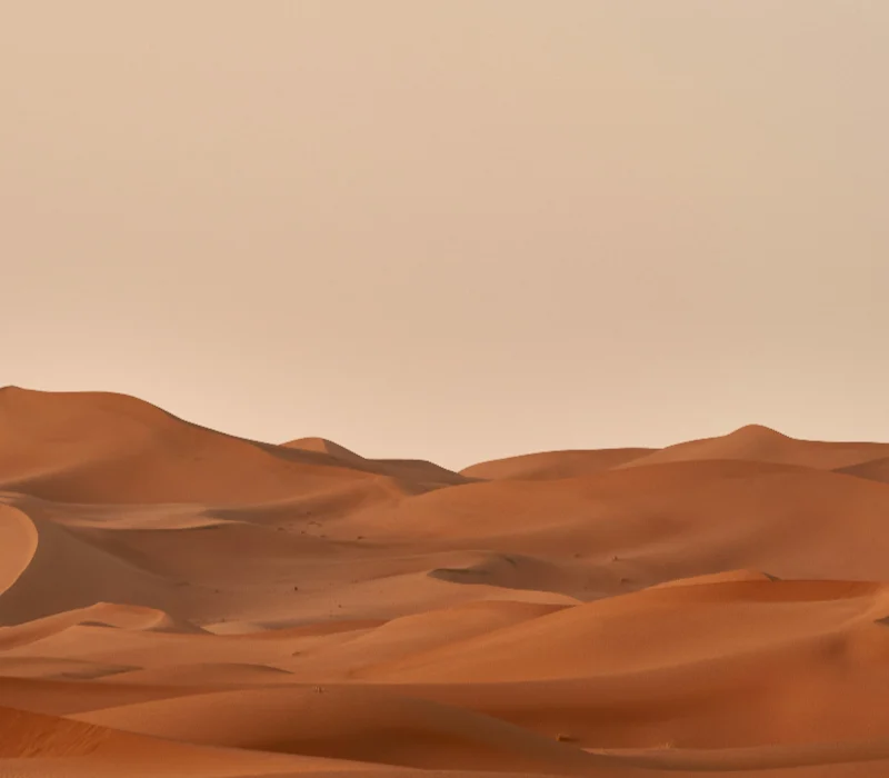 wolfgang-hasselmann-pVr6wvUneMk-unsplash